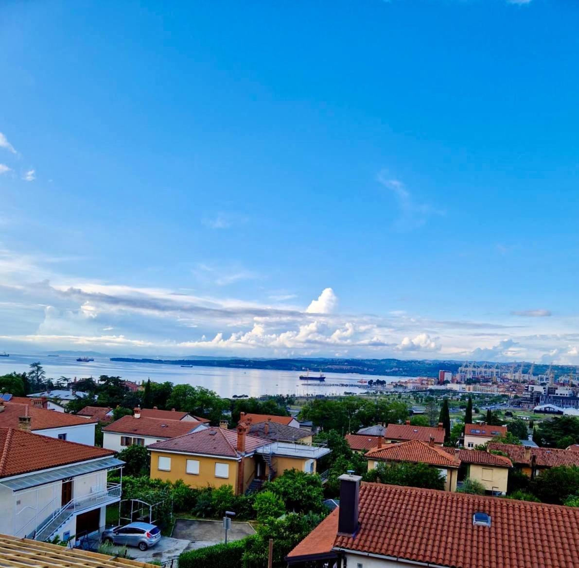 Seaview Villa 科佩尔 外观 照片